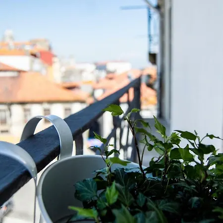 Douro Virtudes Historical Center